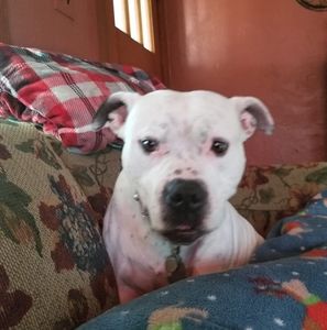 Meet your Posher, Gail